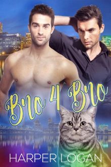 bro 4 bro, harper logan, epub, pdf, mobi, download