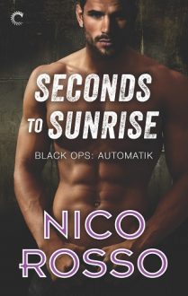 seconds to sunrise, nico rosso, epub, pdf, mobi, download