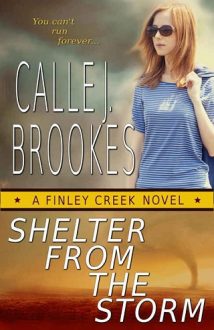 shelter from the storm, calle j brookes, epub, pdf, mobi, download