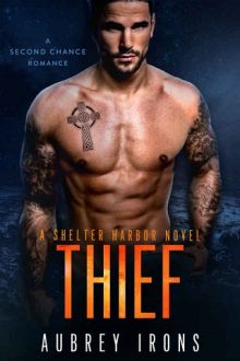 thief, aubrey irons, epub, pdf, mobi, download