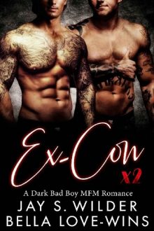 ex-con times two, jay s wilder, epub, pdf, mobi, download