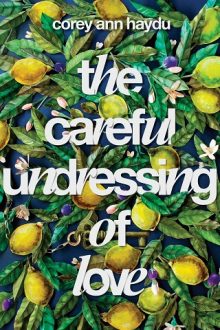 the careful undressing of love, corey ann haydu, epub, pdf, mobi, download