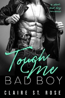touch me bad boy, claire st rose, epub, pdf, mobi, download