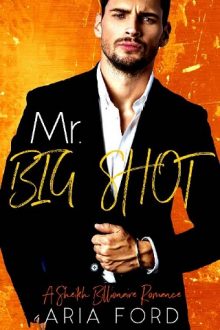 mr big shot, aria ford, epub, pdf, mobi, download