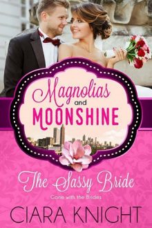 the sassy bride, ciara knight, epub, pdf, mobi, download