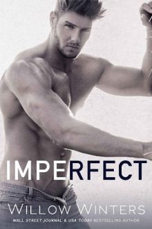 imperfect, willow winters, epub, pdf, mobi, download
