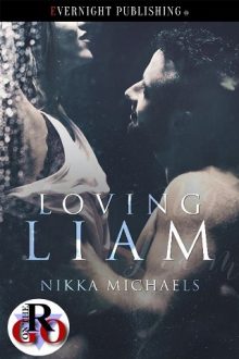 loving liam, nikka michaels, epub, pdf, mobi, download