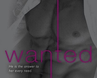 wanted, heated, ignited, most wanted series, j kenner, release me, claim me, complete me, stark, epub, pdf, mobi, download