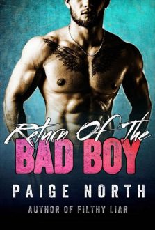 return of the bad boy, paige north, epub, pdf, mobi, download
