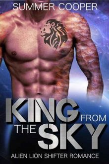 king from the sky, summer cooper, epub, pdf, mobi, download