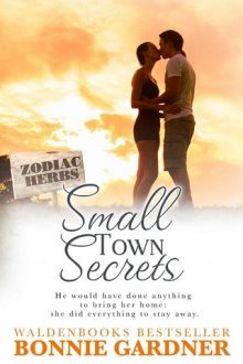 small-town-secrets0, bonnie gardner, epub, pdf, mobi, download