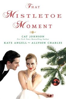 the-mistletoe-moment, cat johnson, epub, pdf, mobi, download