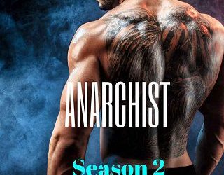 anarchist 2 jordan silver