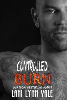 controlled burn, lani lynn vale, epub, pdf, mobi, download