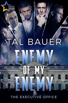 enemy-of-my-enemy, tal bauer, epub, pdf, mobi, download