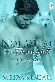 not-what-he-thought, melissa kendall, epub, pdf, mobi, download