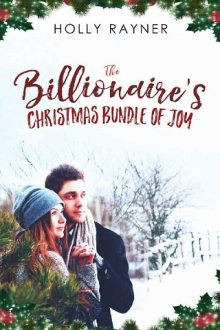 the-billionaires-christmas-bundle-of-joy, holly rayner, epub, pdf, mobi, download