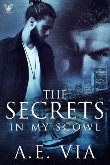the-secrets-in-my-scowl, ae via, epub, pdf, mobi, download
