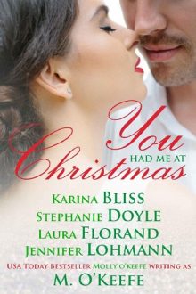 you-had-me-at-christmas, karina bliss, epub, pdf, mobi, download