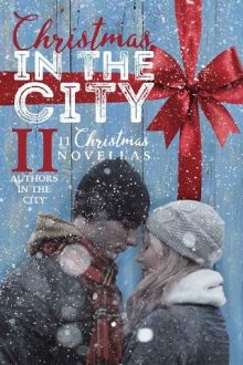 christmas-in-the-city-2, samantha chase, epub, pdf, mobi, download