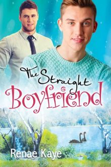the-staright-boyfriend, renae kaye, epub, pdf, mobi, download