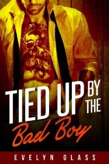 tied-up-by-the-bad-boy, evelyn glass, epub, pdf, mobi, download