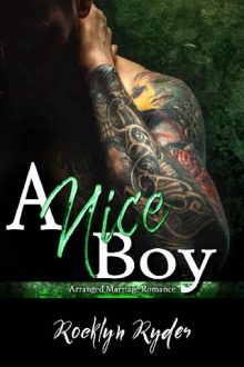 a nice boy, rocklyn ryder, epub, pdf, mobi, download
