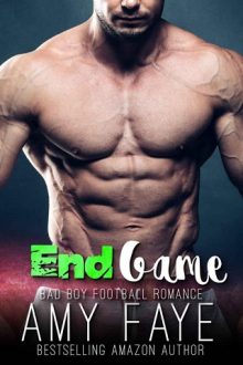 end game, amy faye, epub, pdf, mobi, download
