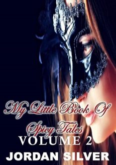 my little book of spicy tales 2, jordan silver, epub, pdf, mobi, download
