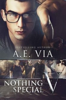 nothing-special-5, ae via, epub, pdf, mobi, download