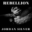 redneck rebellion jordan silver