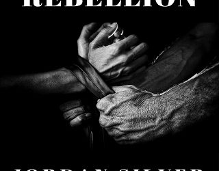 redneck rebellion jordan silver