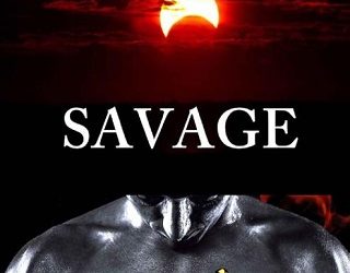 savage jordan silver