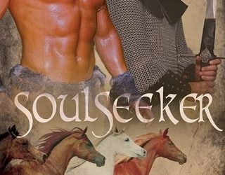 soulseeker jc owens