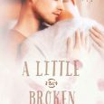 a little bit broken michele notaro