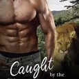 caught by the cougar ashlee sinn