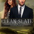 clean slate lan llp