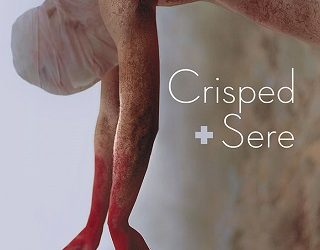 crisped plus sere tj klune