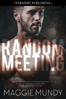 random meeting, maggie mundy, epub, pdf, mobi, download