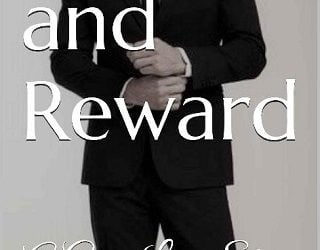 risk and reward ba stretke