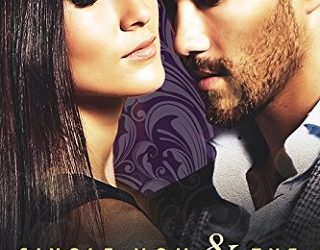 single mom and the sheikh holly rayner