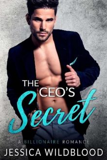 the ceo's secret, jessica wildblood, epub, pdf, mobi, download