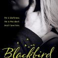 blackbird molly mcadams