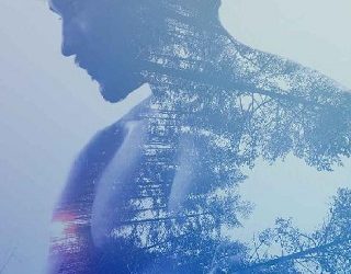 silenced leddy harper