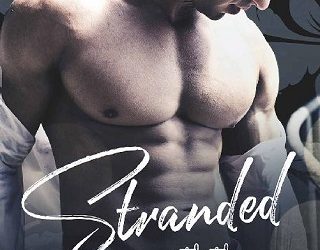 stranded with the prince lara hunter