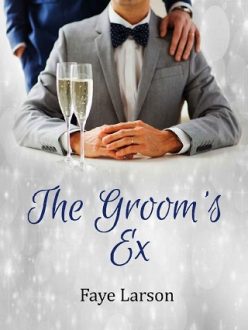 the groom's ex, faye larson, epub, pdf, mobi, download