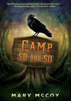 camp so-and-so, mary mccoy, epub, pdf, mobi, download