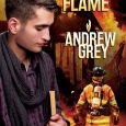 cleansing flame andrew grey