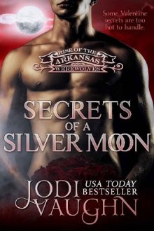 secrets of a silver moon, jodi vaughn, epub, pdf, mobi, download