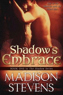 shadow's embrace, madison stevens, epub, pdf, mobi, download